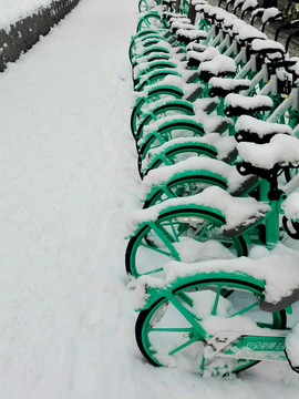 雪后的共享单车