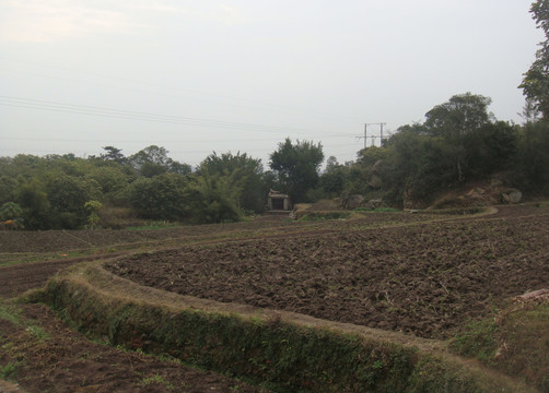 荒废田地