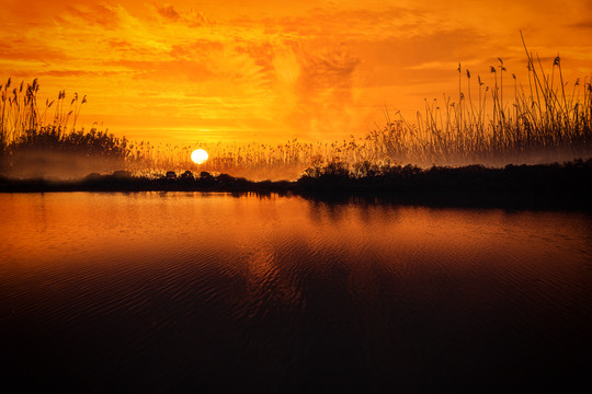 西溪湿地日落