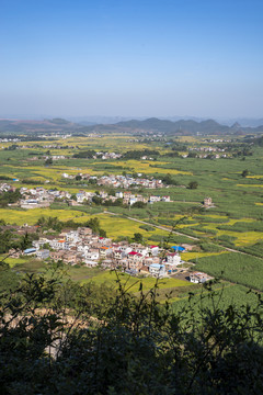 大地村庄