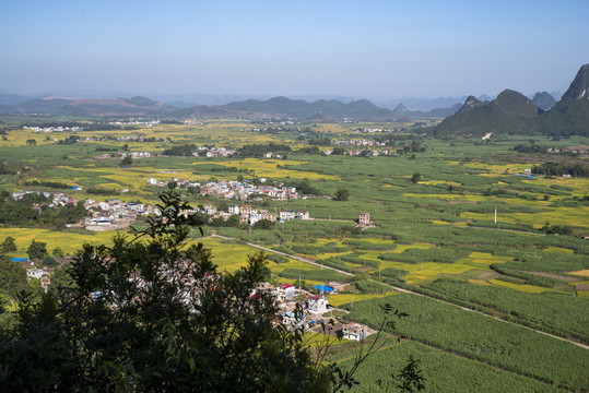 大地村庄