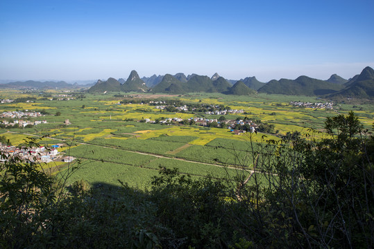 大地村庄