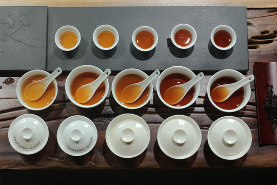 茶艺茶叶茶汤评茶