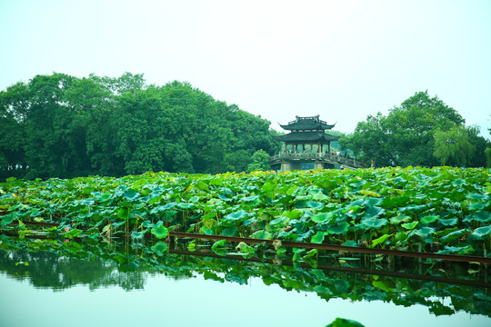 杭州西湖美景