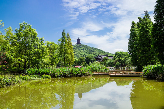吉安庐陵文化生态园