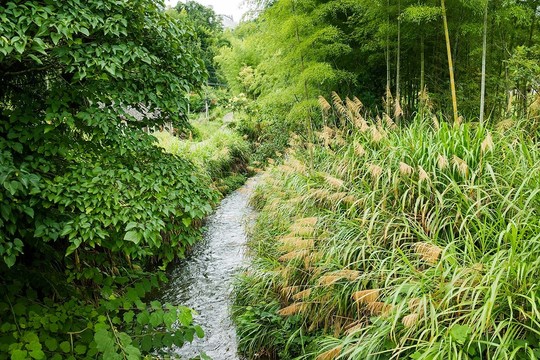 山水风景