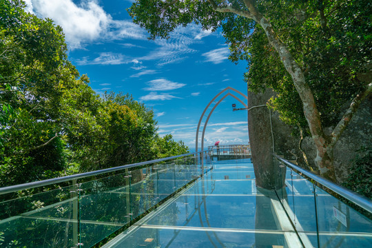 三亚亚龙湾热带森林公园玻璃栈道