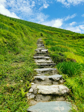 上山天梯