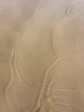 沙滩