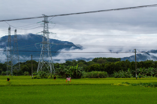 雨后天晴