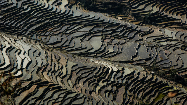 元阳梯田