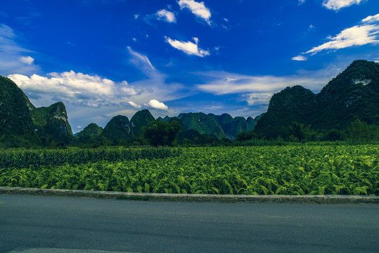 公路风景