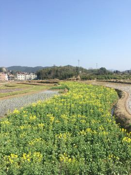 田园风景