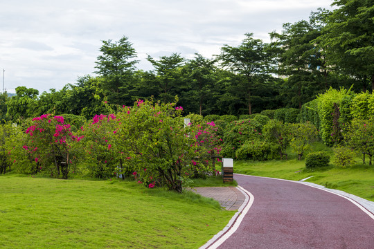 园林跑道