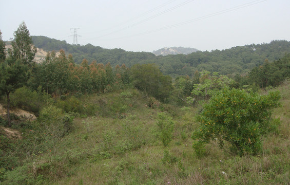 山区