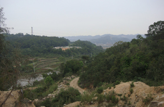 家乡的山坡