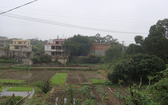 20100405清明120