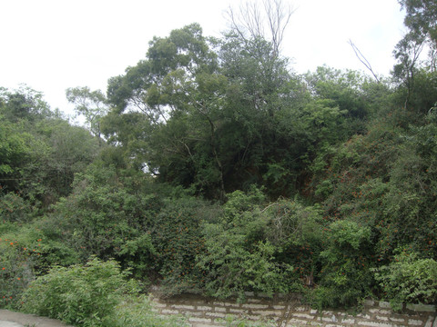 农村山区