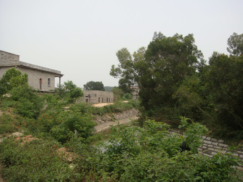 Y游览农村野外