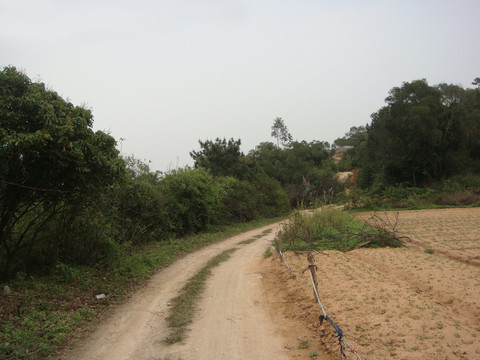 村离村外