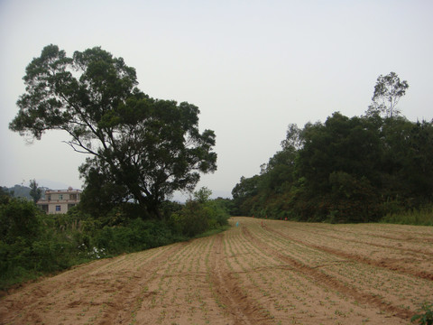 村离村外