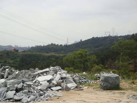 乡村土路植被