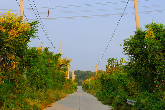 乡间公路