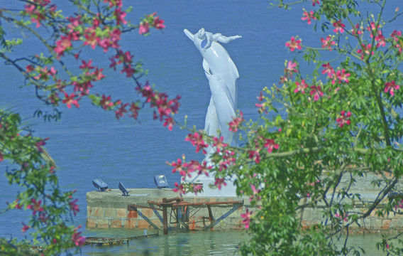 中华白海豚雕塑