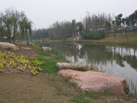 河岸绿化景观