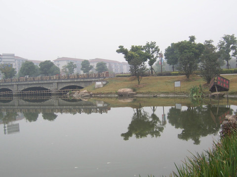 河岸绿化景观