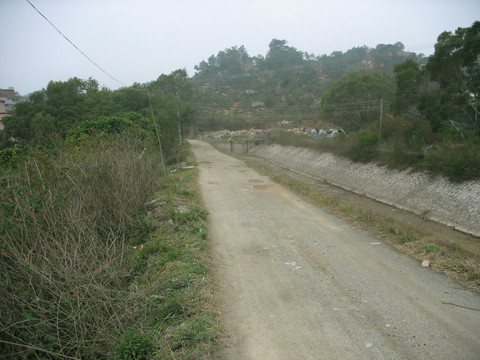 乡村景色
