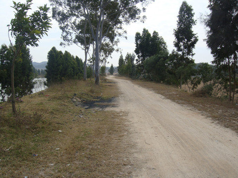 土路