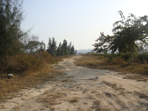 乡村土路