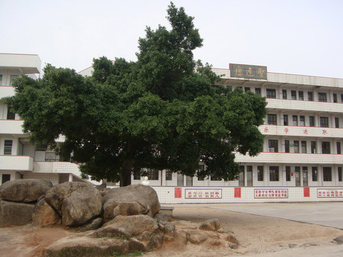 小学