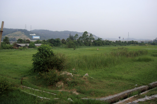 庄稼草地
