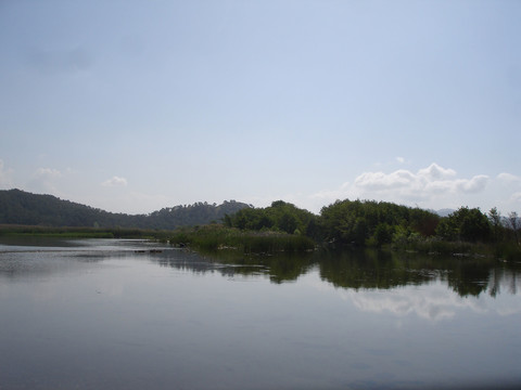 江南湿地