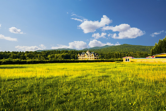 远山田园风景