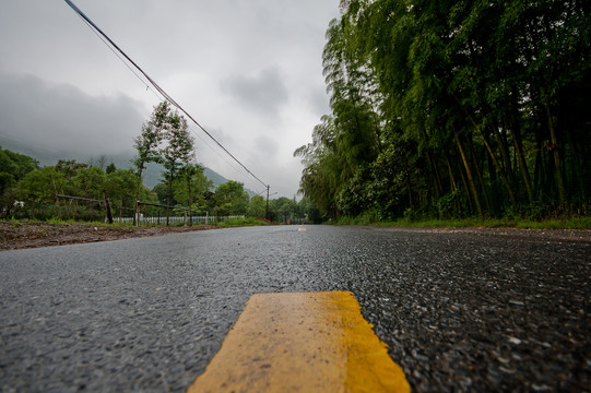 雨后湿漉漉的乡间道路