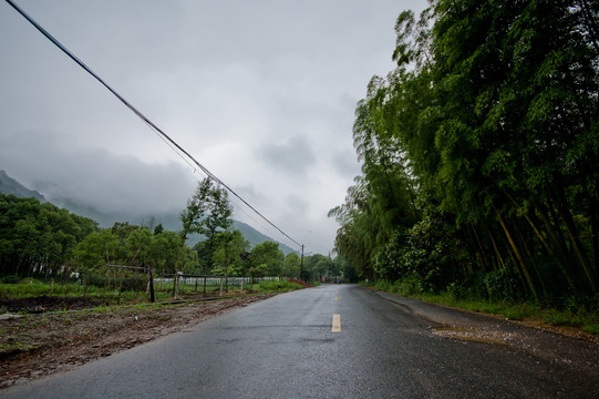 雨后湿漉漉的乡间道路