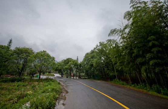 雨后湿漉漉的乡间道路