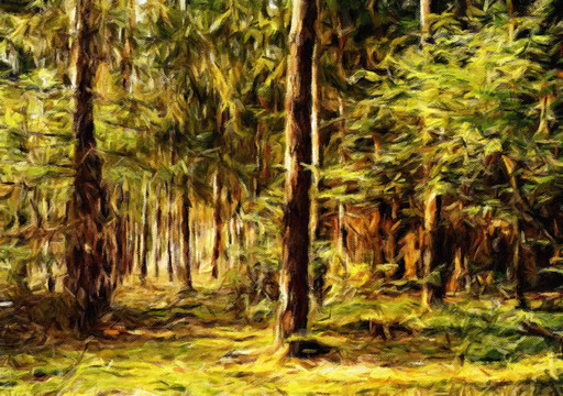 森林油画