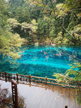 九寨沟风光