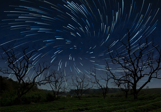 茶园星空