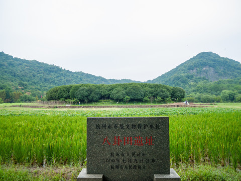 八卦田遗址