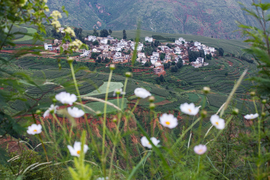 东川红土地