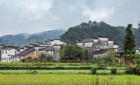 山村秋色