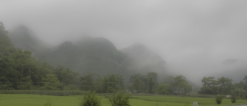 雾漫漫