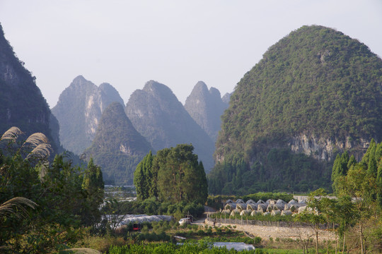 青山