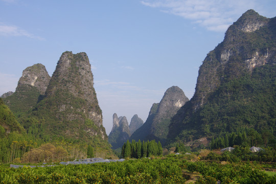 青山