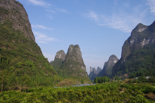 青山